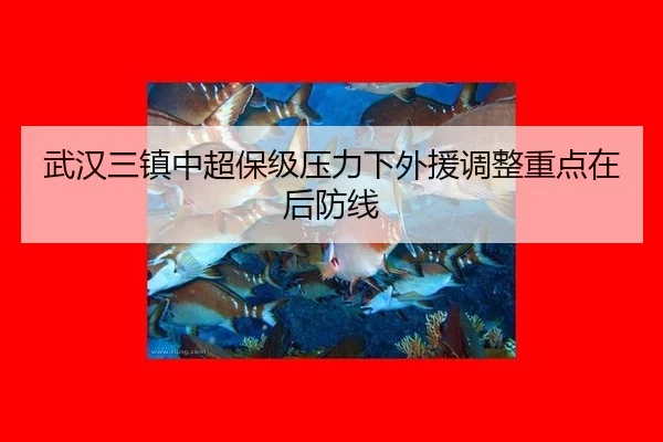 武汉三镇中超保级压力下外援调整重点在后防线